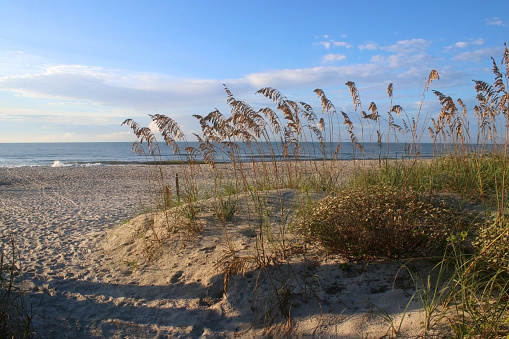 Things to Do callout