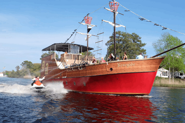 Things To Do Black Beards Dolphin Cruise