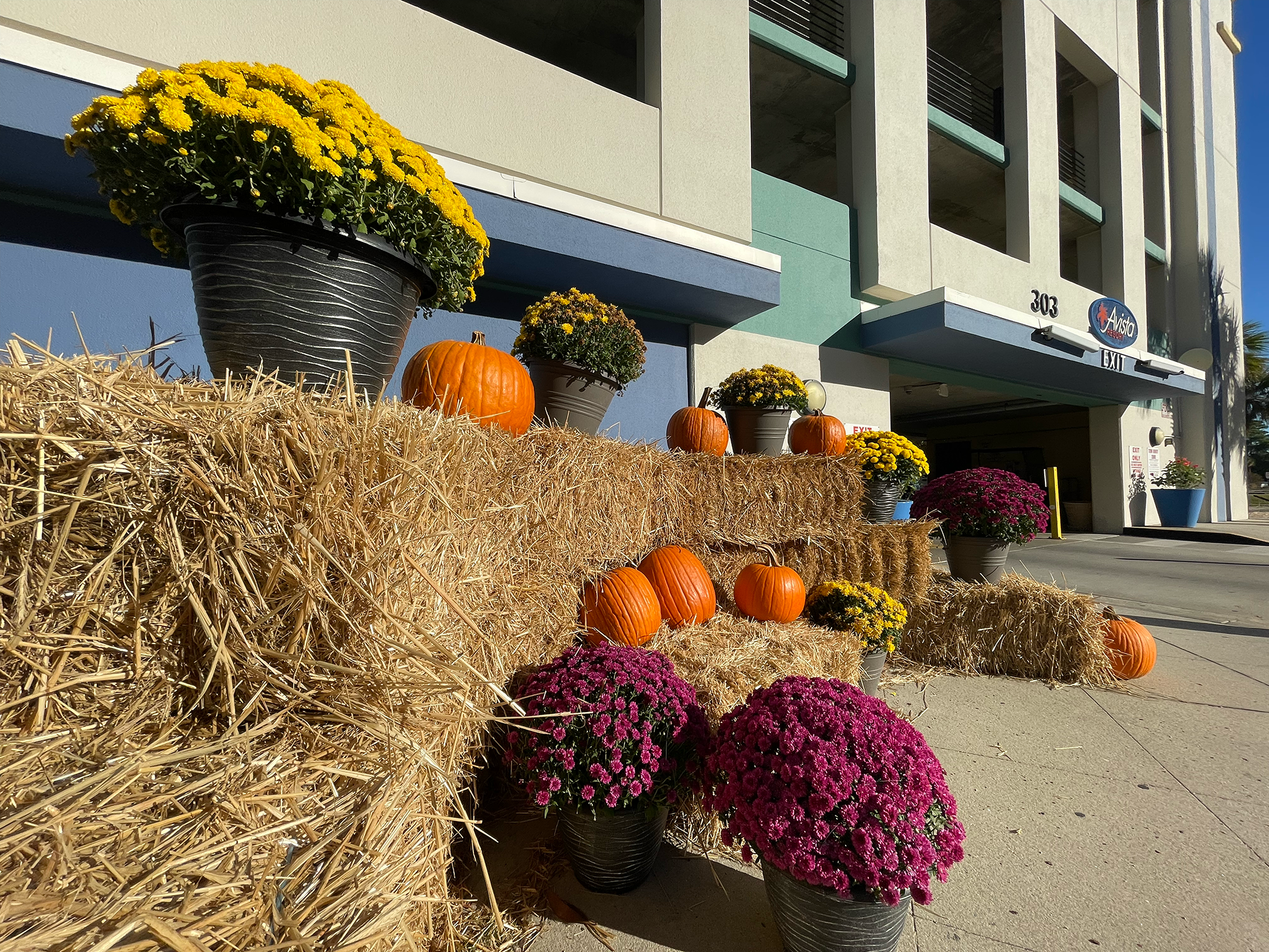 Fall decor with hay bales, pumpkins, and flowers outside Avista Resort.