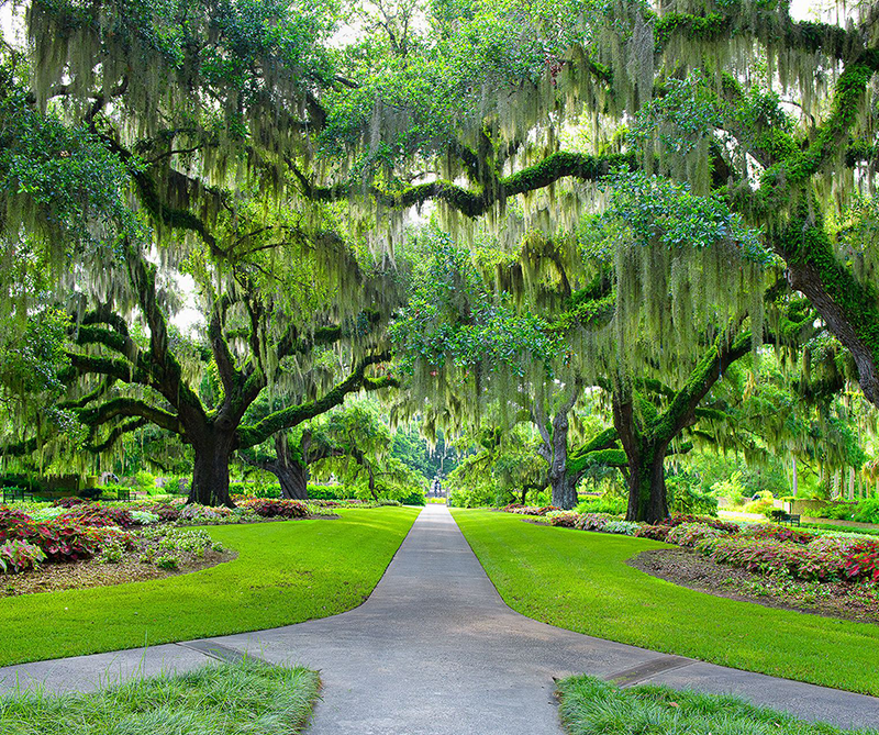 Brookgreen Gardens