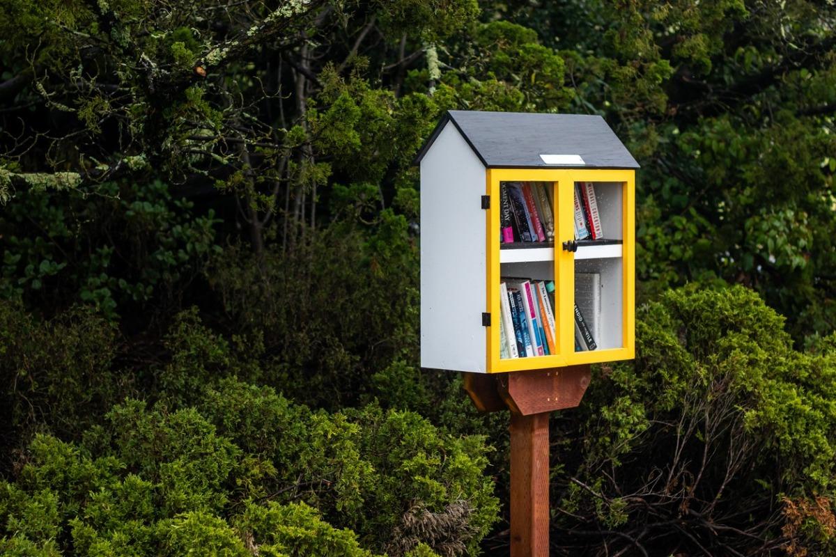 a yellow colored little free library in a park filled with books