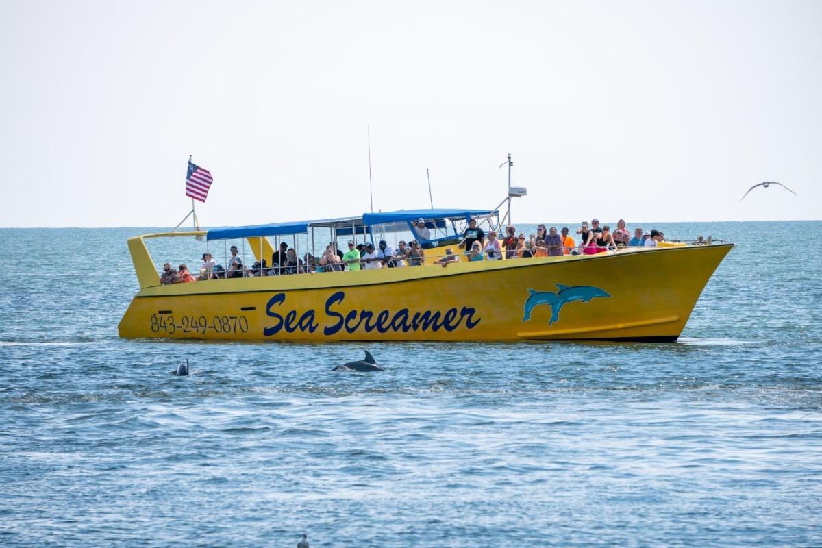 Yellow speed boat in the ocean with text reading Sea Screamer Dolphin Cruise