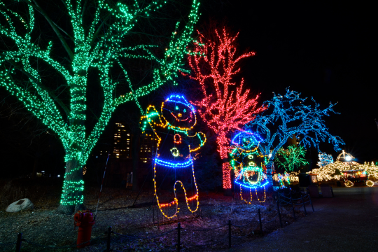 Colorful holiday lights on trees and gingerbread figures in a night setting.